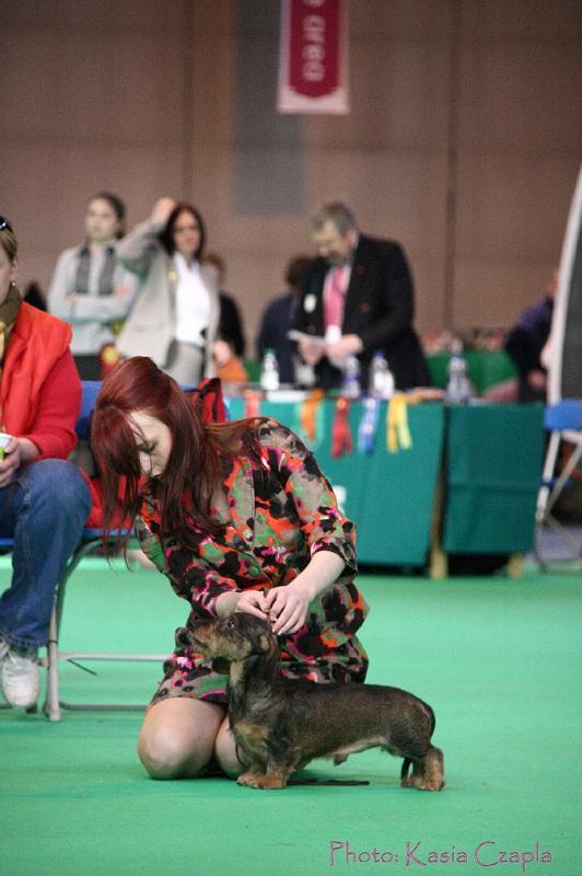 Crufts2011_2 841.jpg